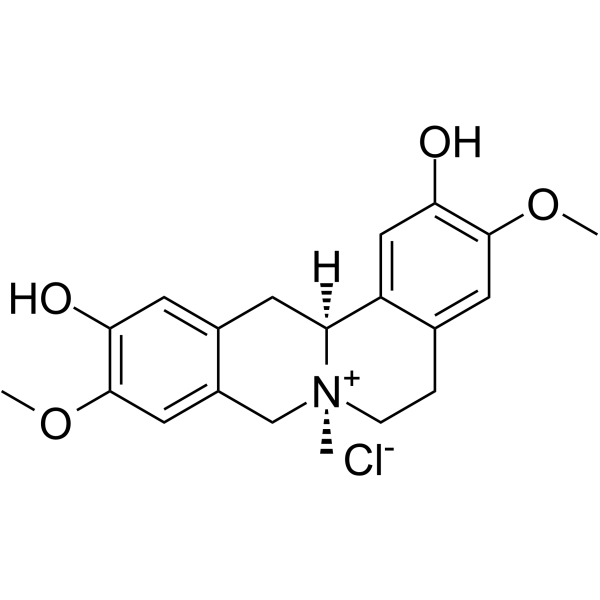 Phellodendrine-chloride Structure